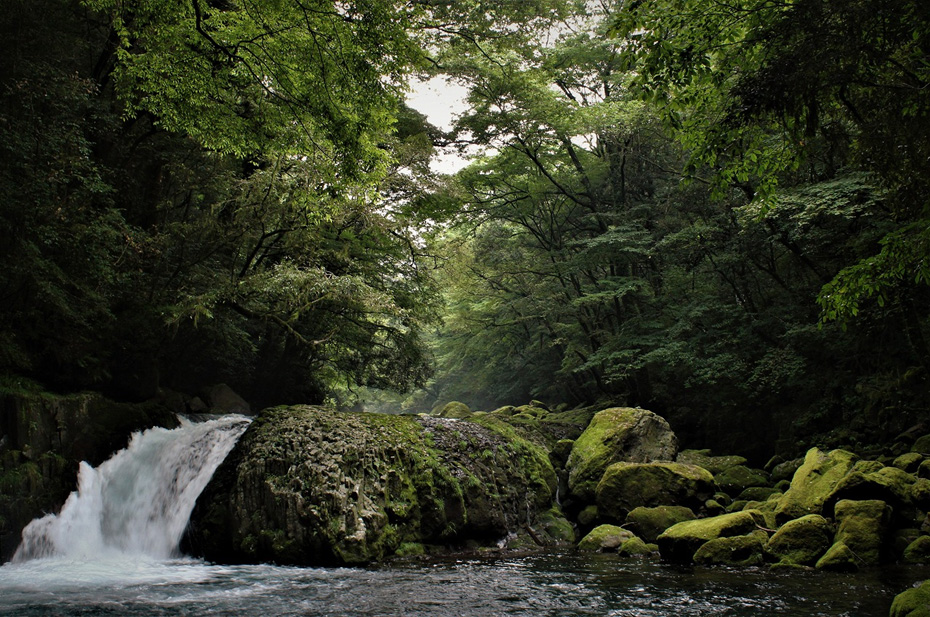 菊池市　菊池渓谷