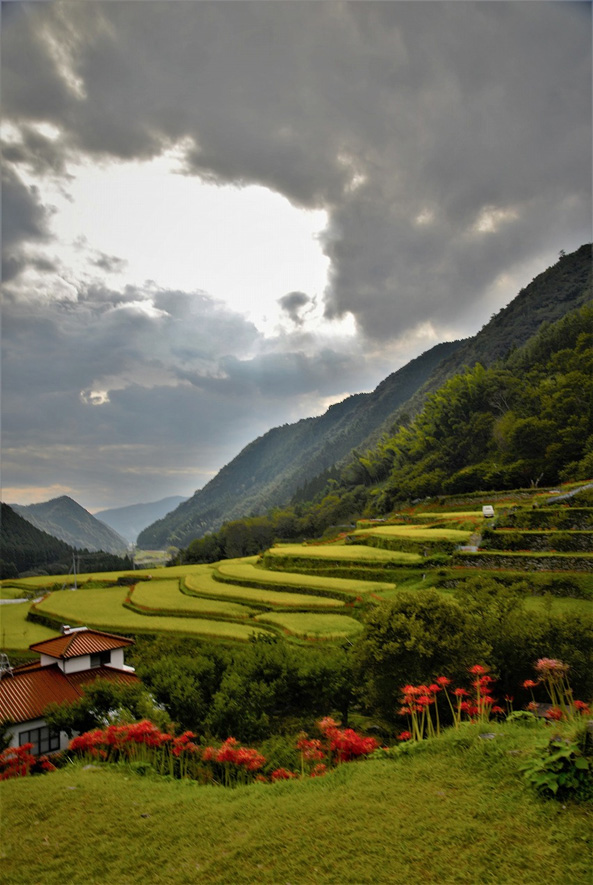 山鹿市菊鹿町 番所の棚田